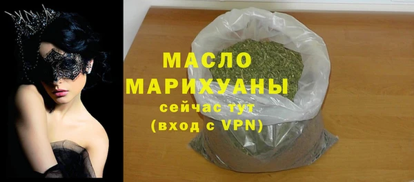 индика Богородск