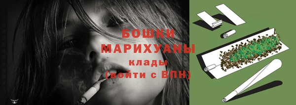 индика Богородск