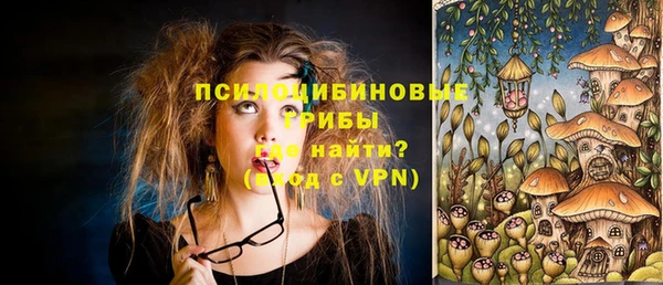 соль ск Богородицк