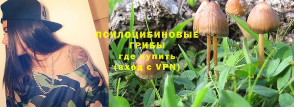 индика Богородск