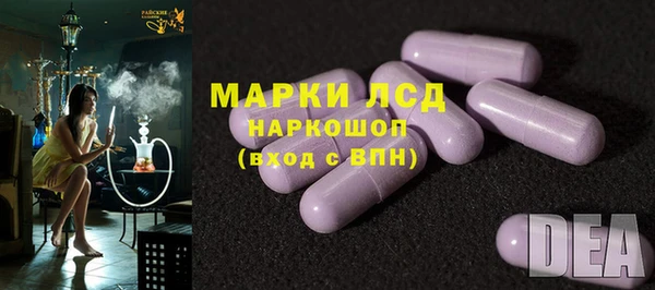 индика Богородск