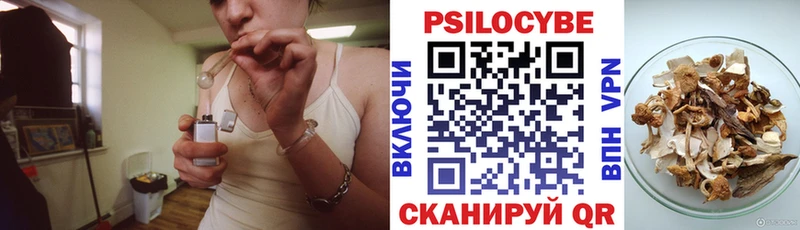 KRAKEN рабочий сайт  Гай  Псилоцибиновые грибы Psilocybine cubensis 